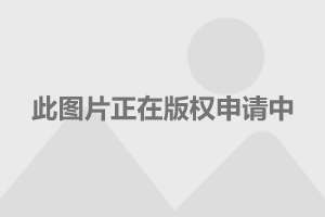 福布斯中国名人榜：范冰冰连续5年蝉联榜首
