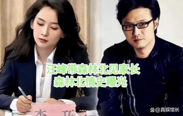汪峰与森林北牵手出行被拍画面