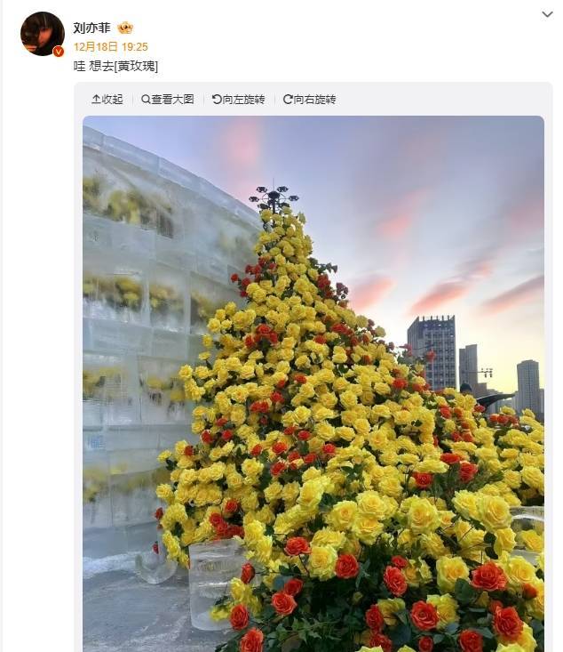 刘亦菲称想去哈尔滨看玫瑰 文旅局回应:快来玩呀