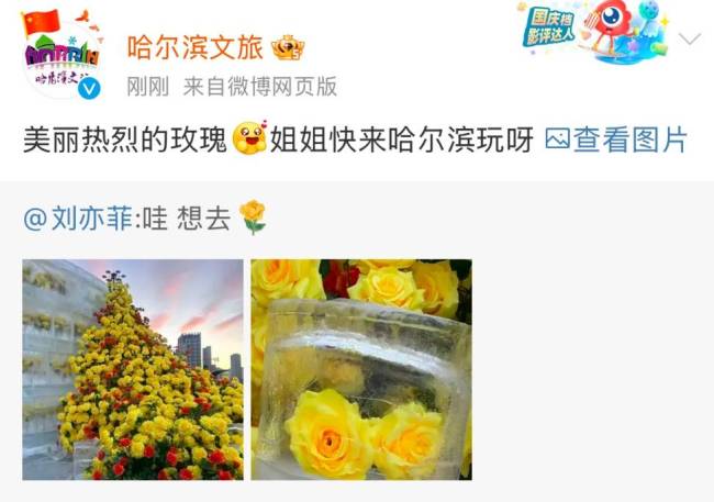 刘亦菲称想去哈尔滨看玫瑰 文旅局回应:快来玩呀