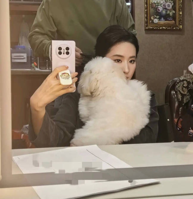 刘亦菲素颜出游优雅大方 对镜自拍表情灵动